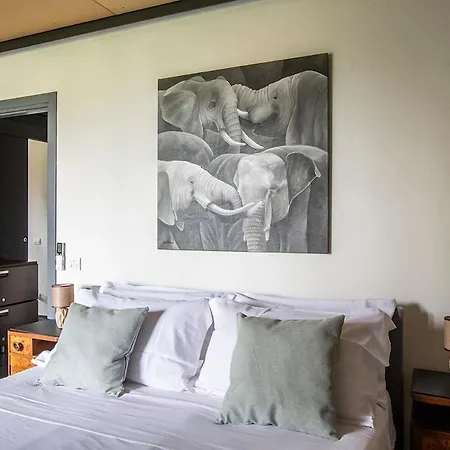 Villa Lakeview Villa, Terrace And Garage Stresa